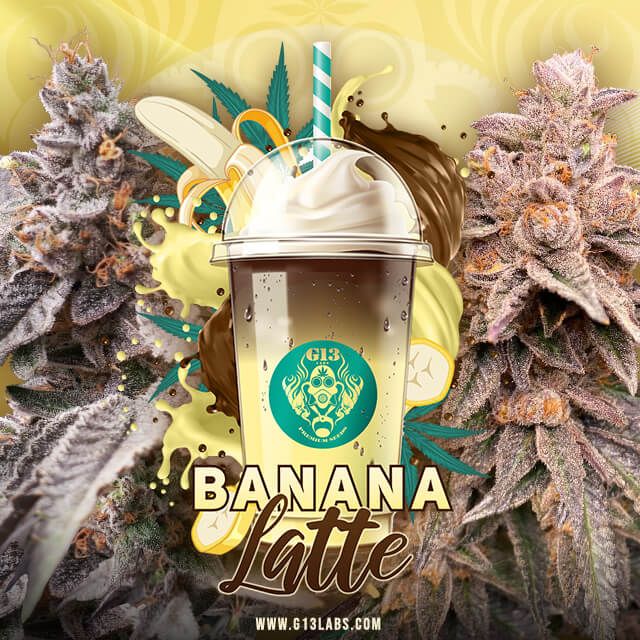 Banana Latte - FEM 5pk