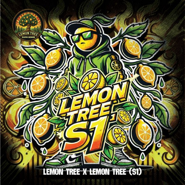 Lemon Tree S1 - FEM 6pk