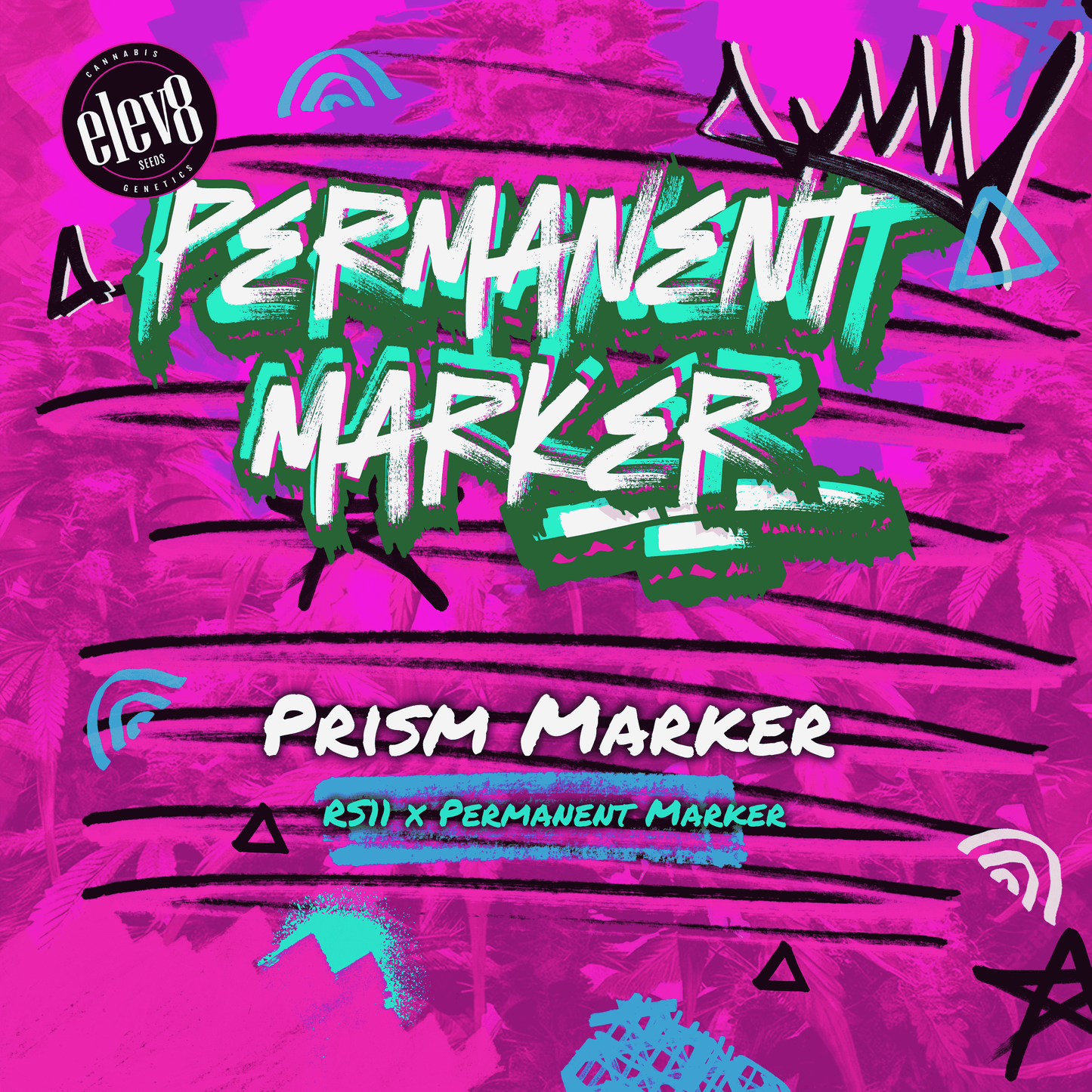 Prism Marker - FEM 6pk
