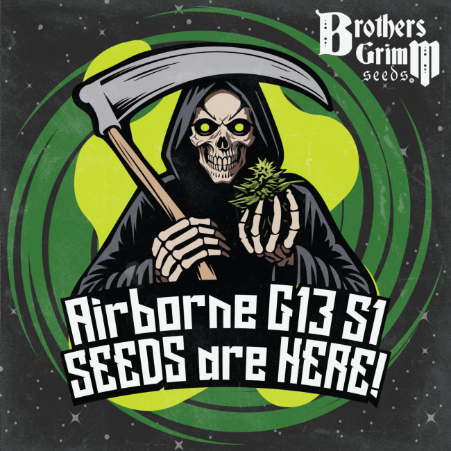 Airbourne G13 S1 - FEM 9 Pack