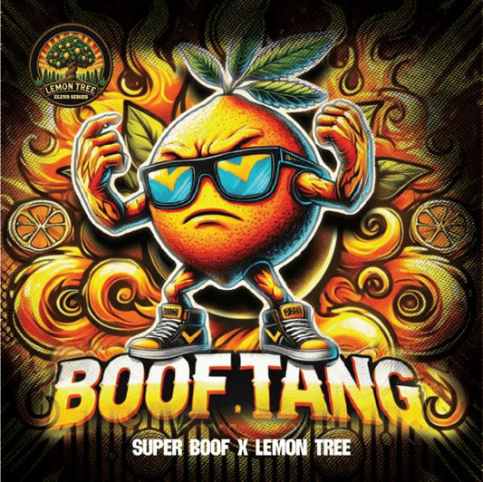 Boof Tang - FEM 6pk
