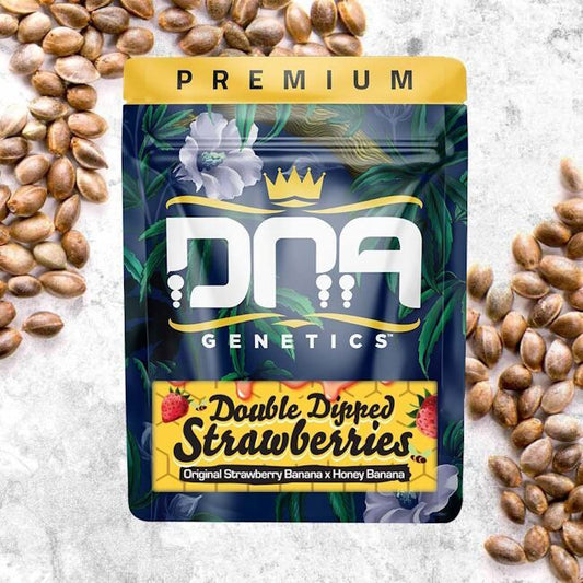 Double Dipped Strawberries - FEM 5 pack