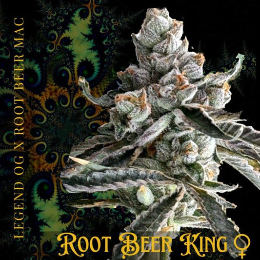 Root Beer King - FEM 6pk