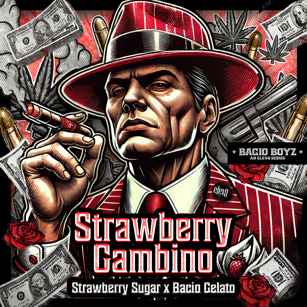 Strawberry Gambino - FEM 6pk