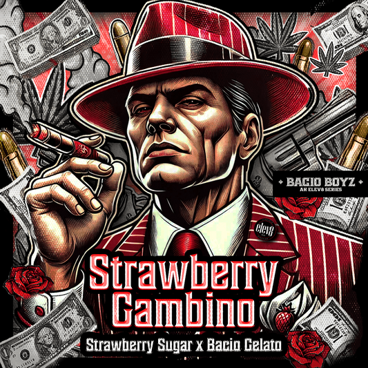 Strawberry Gambino - FEM 6pk